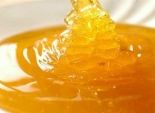 ضبط مصنعين مخالفين لإنتاج العسل والبلاستيك بالقليوبية