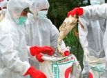 ألمانيا: العثور على حالات عدوى بفيروس إنفلونزا الطيور 