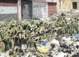 حي العامرية: رفع 320 طن مخلفات من شوارع غرب الإسكندرية 