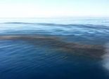 رصد تسرب بترولي على مساحة 350 مترا بالقرب من شواطئ رأس غارب 