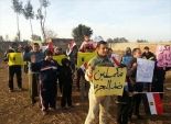 7 مظاهرات و6 سلاسل بشرية للإخوان بالدقهلية 