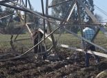 مجهولون يحرقون محولي كهرباء وبرج شبكة محمول في بني سويف