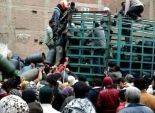 قوات الجيش والشرطة يشرفان على توزيع اسطوانات البوتاجاز بالدقهلية