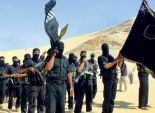 الجيش يرد على استعراض «بيت المقدس»: تصفية 18 إرهابياً فى سيناء
