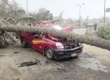8 ضحايا جدد لـ«أمشير»: مقتل 3 مواطنين وإصابة 5 بسبب «الرياح العاتية»
