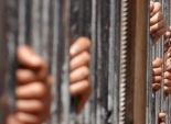 حبس 23 شخصا بتهمة مقاومة السلطات وزراعة 60 فدان 