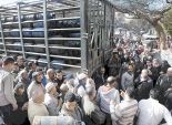 الشعب يقف فى طابور جديد لـ«بون البوتاجاز»
