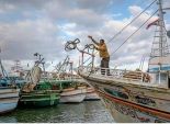 تقليص مدة وقف الصيد في البحر الأحمر إلى شهرين