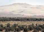  «الأرصاد» تحذر من سيول على سيناء