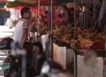 بالصور| انطلاق فعاليات مهرجان أكل لحم الكلاب في الصين