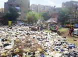 «شبرا».. حديقة الشيخ رمضان سكنتها القمامة فتحولت إلى ملجأ للأغنام