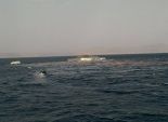 المتحدث العسكري ينشر صورا لعملية انقاذ 37 من طاقم سفينة 