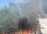 اندلاع حريق هائل بأرض زراعية في سيوة.. والنيران تلتهم 10 أفدنة
