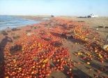 بالصور| بطيخ وطماطم بقايا العبارة طابا تغزو شواطئ سفاجا