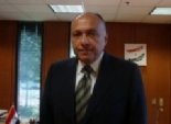 وزير الخارجية: «المبادرة المصرية» لا تتضمن نزع سلاح المقاومة