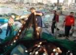  ضبط 5 صيادين تعدوا علي حملة أمنية لإزالة التعديات على مجري النيل ببنها 