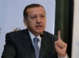 أردوغان يؤكد استخدام بطاريات صواريخ 