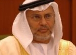 تعطل طائرة وزير الدولة للشؤون الخارجية الإماراتي
