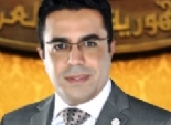 باسل عادل: حكومة قنديل عشوائية وتواجه اعتراضات من موظفي الوزارات
