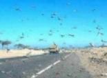  مجلس الوزراء: جهود كبيرة لمحاصرة أسراب الجراد الصحراوي في المناطق الجنوبية من البلاد