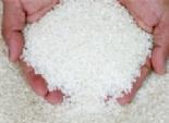 خبير دولى يكشف تهريب الأرز المصرى لدول الجوار على أنه «كسر»