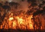 رجال الإطفاء في البرازيل ينجحون في إخماد 5 من 6 حرائق بمخازن وقود 